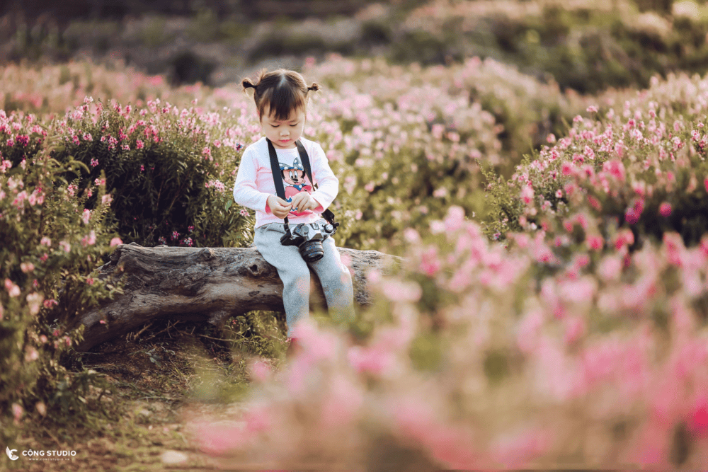 Không gian vườn hoa nở rộ tại công viên Thống Nhất là địa điểm lý tưởng để chụp ảnh (Nguồn: Cộng Studio)